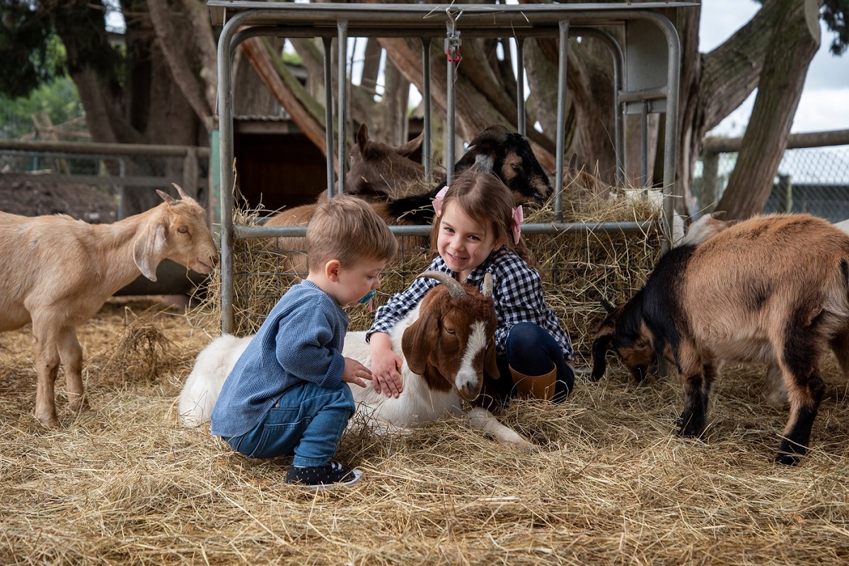 6 Benefits Of Animal Farms For Children's Development Mommy B Knows Best