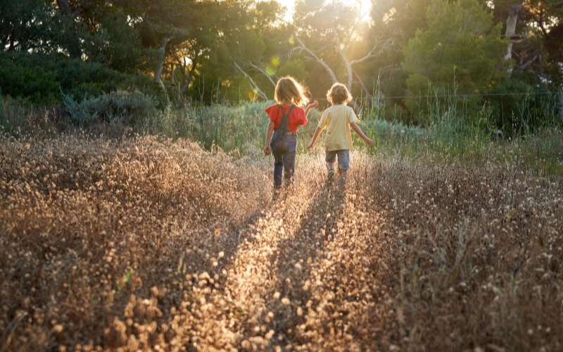 Kids To Walk In Nature