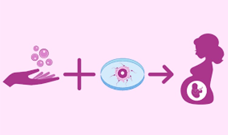 Egg Donors